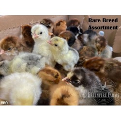 Greenfire Farms Rare Breed Assortment
